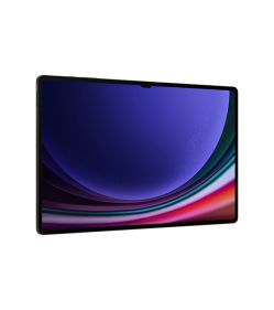 Galaxy Tab S9 Ultra 12GB 256GB Gray 5G